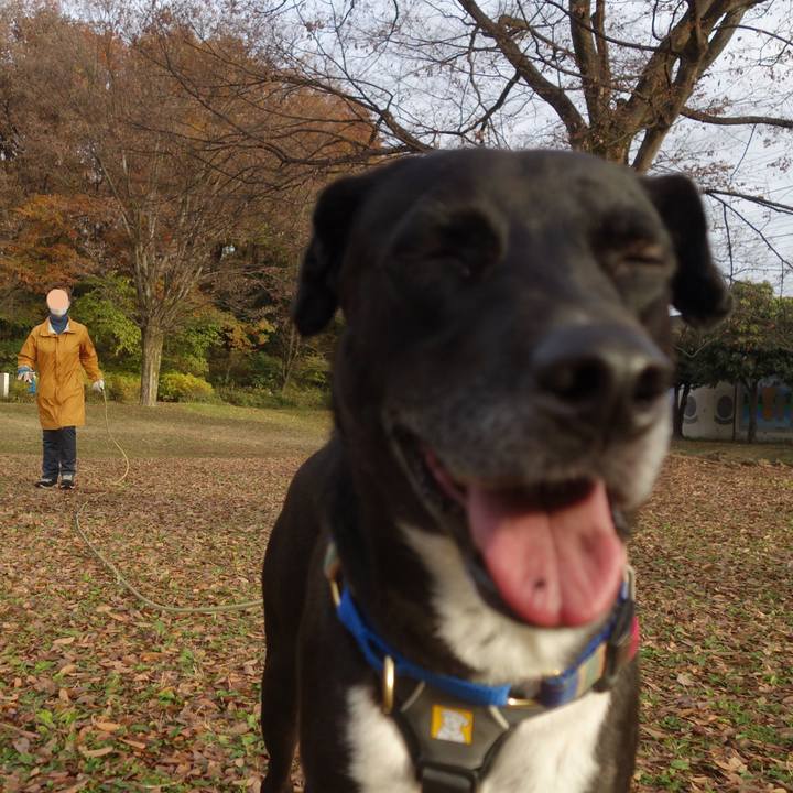 B98153cf 05ee 4662 ad3c 3d0033e78b97 1638839920646