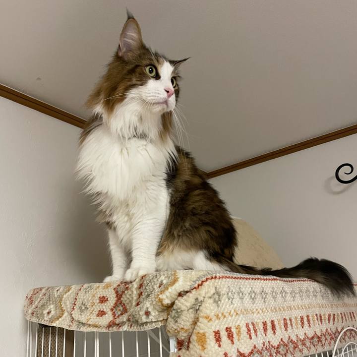 B98190a5 7a12 42f0 8b60 40e124a9861e 1700077234344