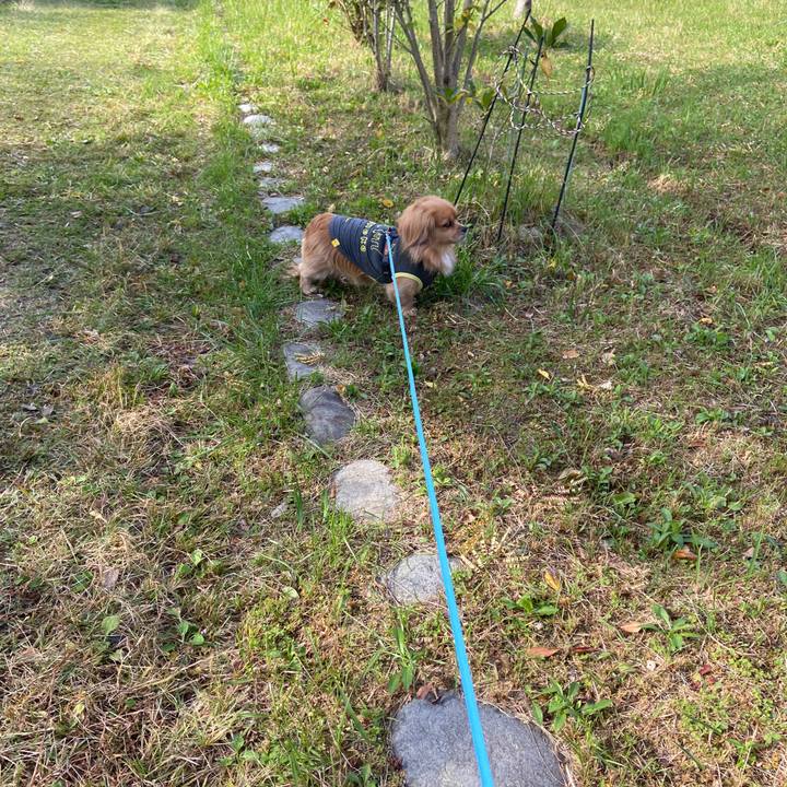 B981bd8a e515 42b2 a2e0 d73537566640 1636161197129