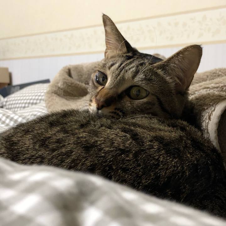 B981ca89 b2f7 4eb4 9cc5 b03e367b3369 1547648435177