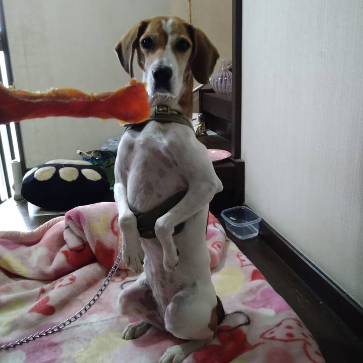 B981cef8 31b5 405a 811f 07d1187da67c 1665976337933