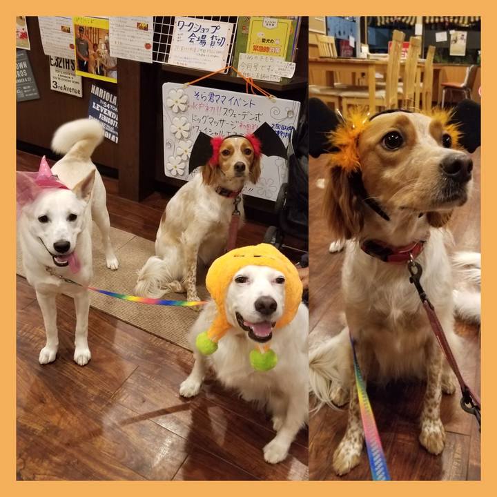 B981d07e 3a1e 496b 8cd8 0ce53855b307 1571880169134