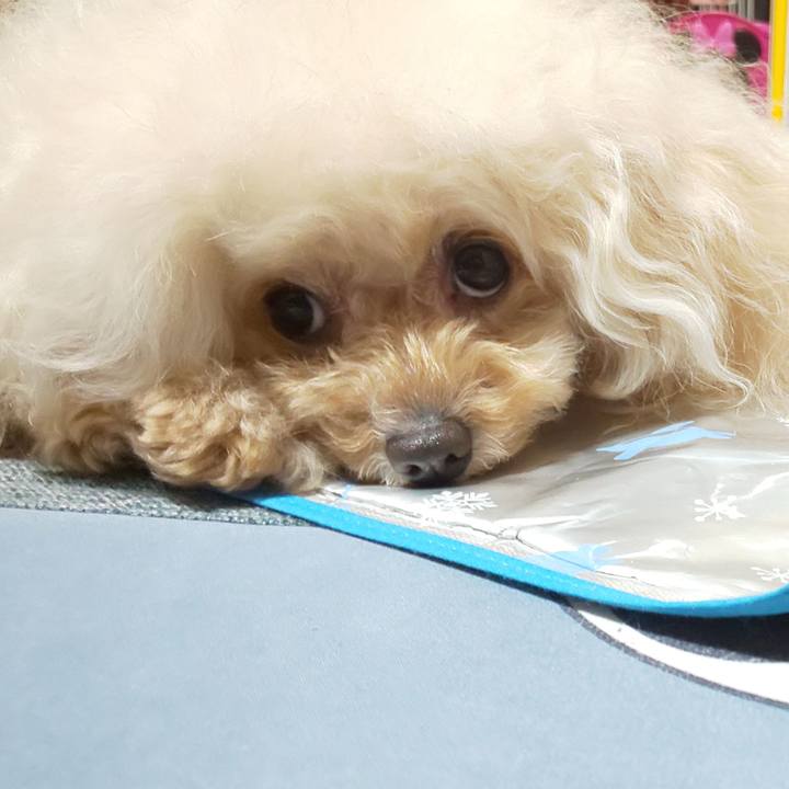 B981d4e6 a039 4c7f 88d8 e6095290bf47 1698470357483