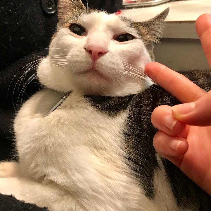 B9820859 18e2 48b3 b7f1 90af19bc27f9 1554905528414