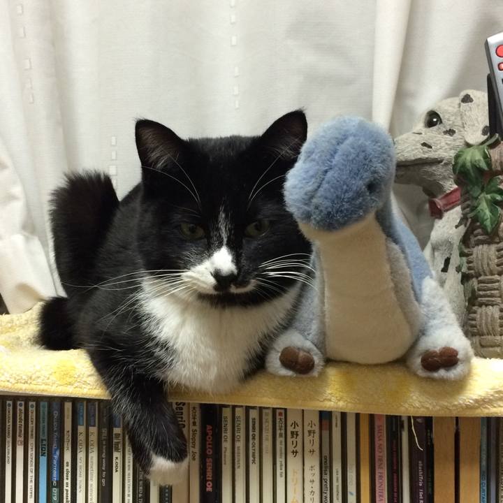 B9820d4c e6ba 4248 b861 eba845b39cd3 1515469912209