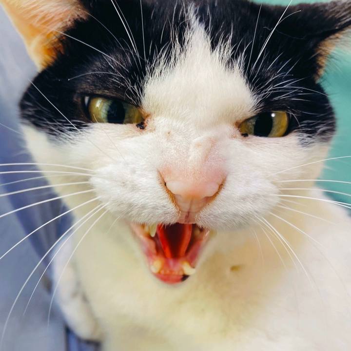 B9820fa9 87d2 44a2 bed9 362029fe6d93 1584999358893