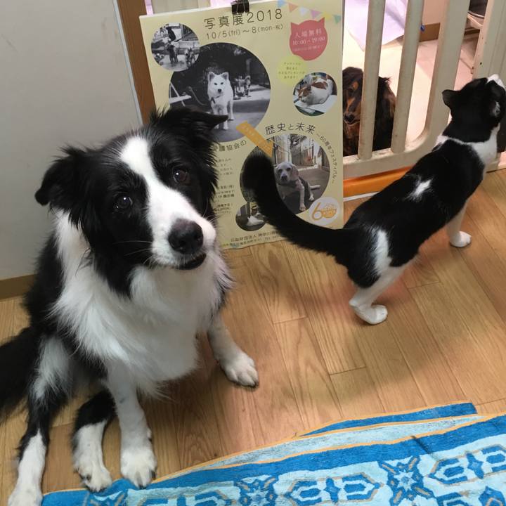 B9824911 d1dd 4387 a18d c13630d20999 1539144674099