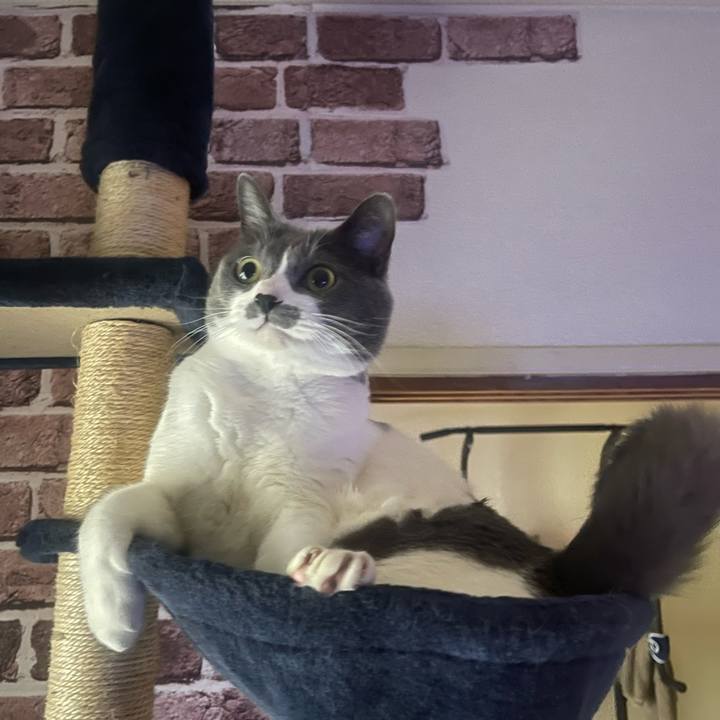 B9825602 87a9 4a66 aad3 43d9d60e04f0 1702681640033