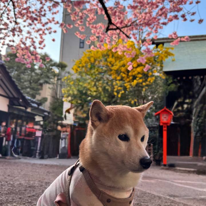 B982d312 064f 4a92 93dc f4637bf08f2b 1741967311432