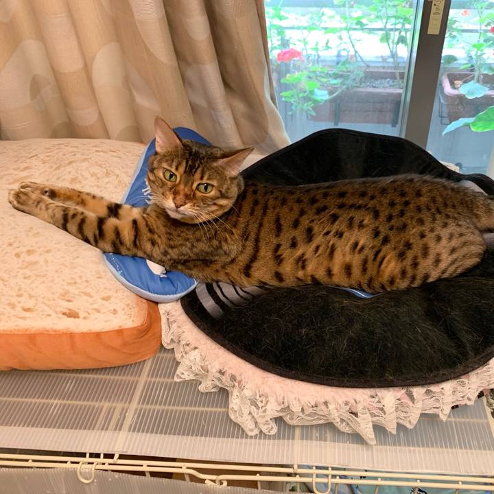 B983061c a39c 44c4 ab0b 7ac72f06f0f6 1625008811417