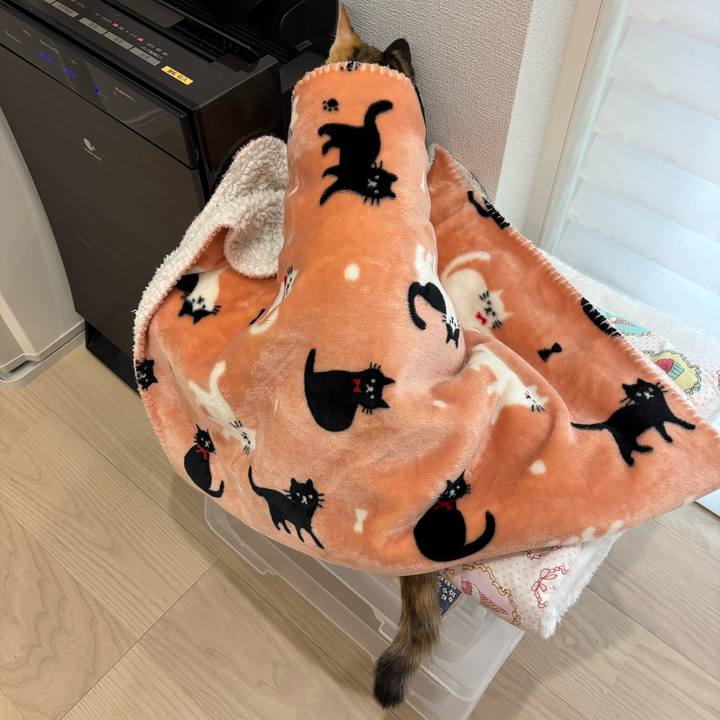 B983286c 36b2 441b b8ac 5f82dc137d93 1761801980138