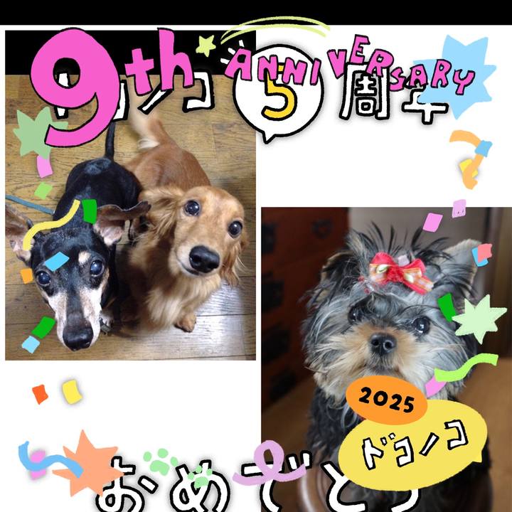 B9834348 5322 48eb a295 cb4418905a34 1749474177236