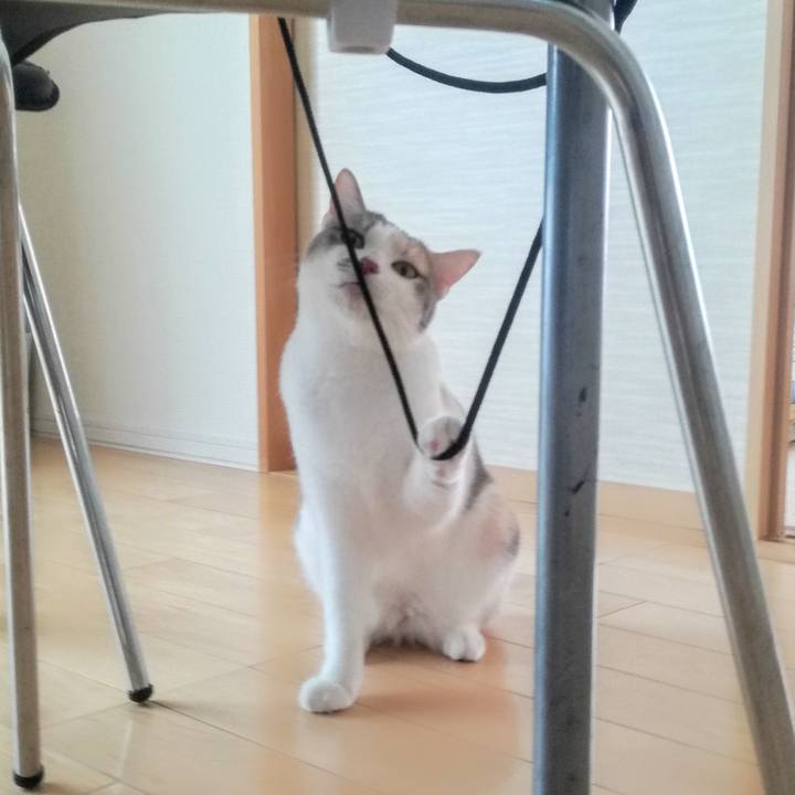 B9835270 7978 4773 9869 1f41ad267ea5 1551498544310