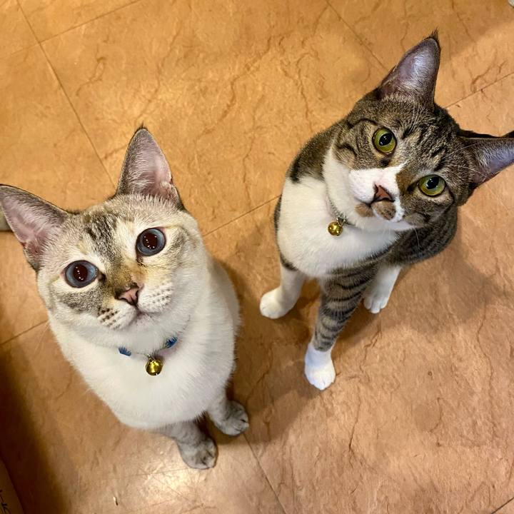 B9835493 edba 4599 bbac 619e2d2e0272 1690276642090