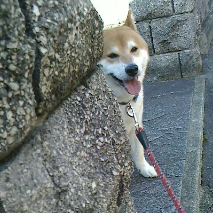 B9837296 deb0 4a46 b254 733367158d4c 1531050246125