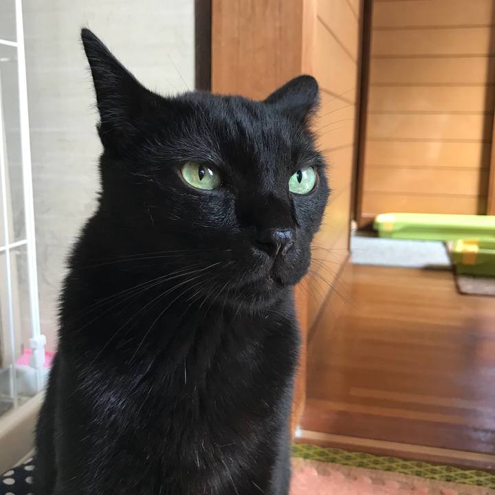 B983868a e968 4996 be85 02c3f06616a4 1534207074422