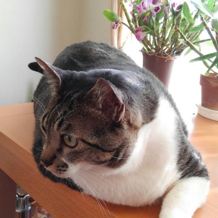 B983882f f222 4e44 967e 4a02cf86120c 1514415246763