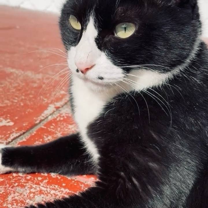 B98392a6 b56e 4da0 8e81 e634982b9ec9 1771816148640