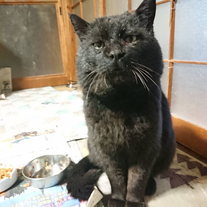 B983a500 16df 4f87 981b 7f1652e24ed6 1650101707002