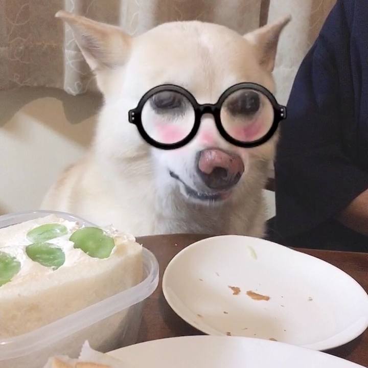 B9843ea4 1dd1 4253 8c68 304e11f16491 1567209973303