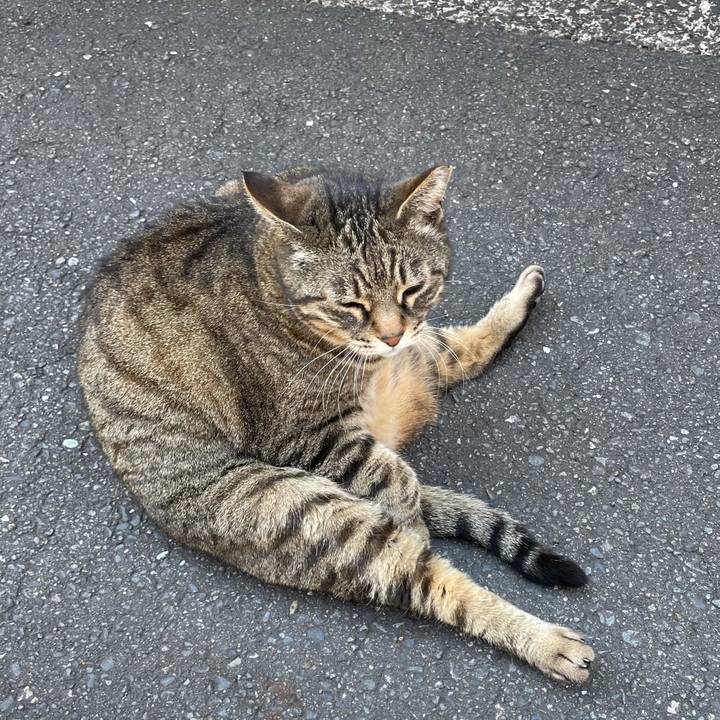 B9843fff fc45 4381 b024 8aa9bc465059 1617943663826