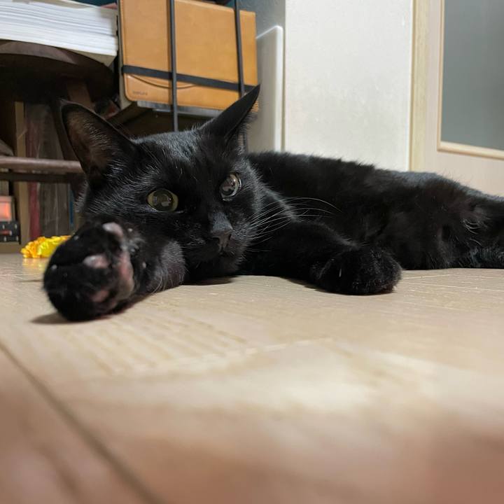 B9845fe9 e2a9 4e3f a618 27150f5b8798 1770294136248