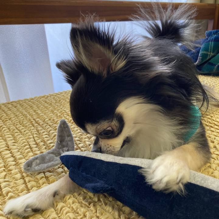 B98467ce 1e1d 4725 b088 e8040f32c5d0 1656218002674