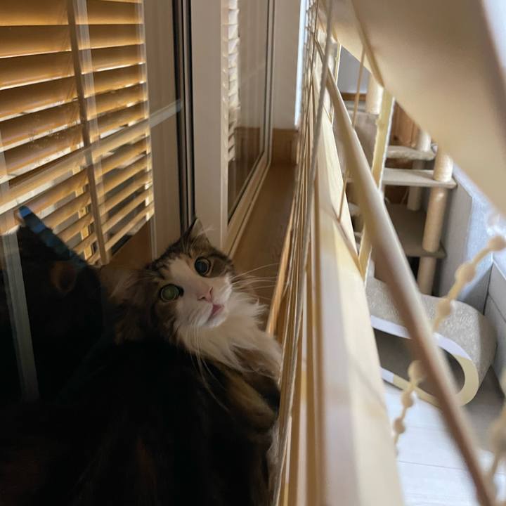 B984cf81 a804 40d3 9591 4949bc73a2fa 1678475268617