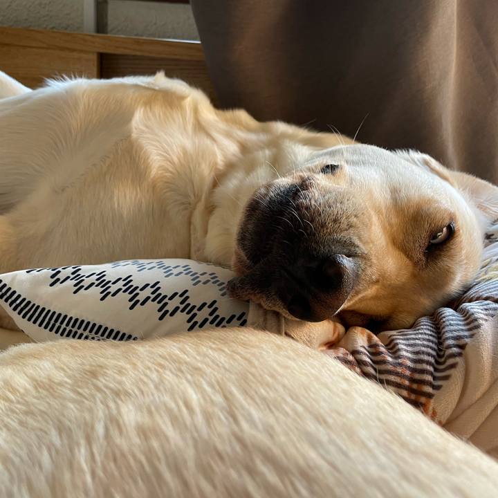 B984df42 5616 4a0b 9421 66a58bfca0ee 1666308099415