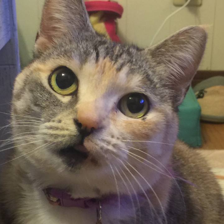 B984fd80 6d1f 40c6 870d 1e63d5287db7 1550330652245