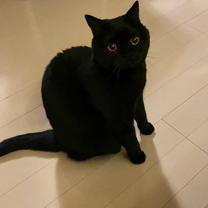 B985026a 21bb 4af8 b94d 5d2d2e440c1e 1638177543165