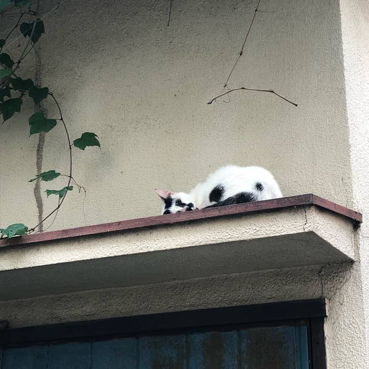 B9855e63 9032 4d0a b415 d478aef65bf3 1563106269473