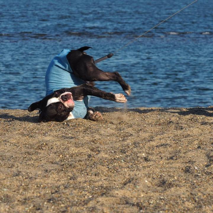 B9857c03 1fe6 4cf5 b5a7 3665b4e1b5f3 1555207215583