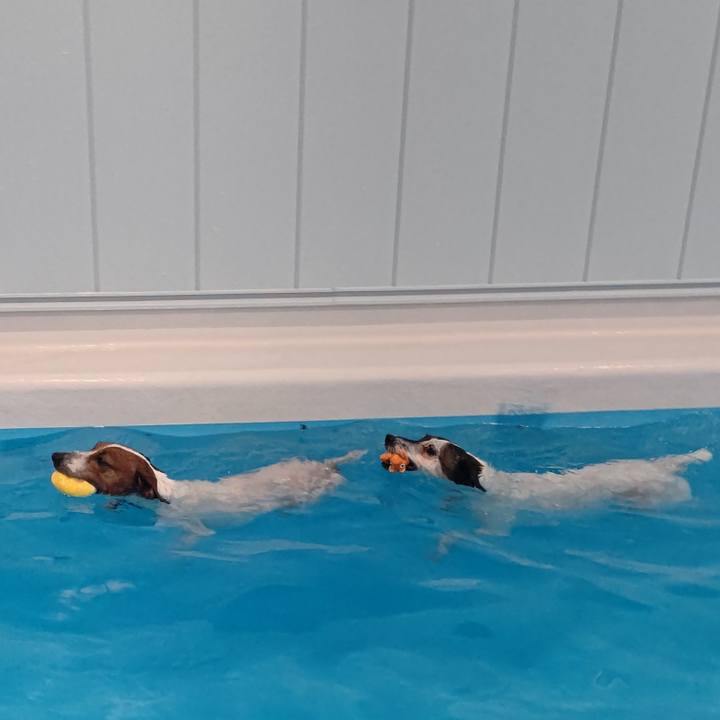 B9858381 8846 4ced 8772 2af0c824a278 1704526647526