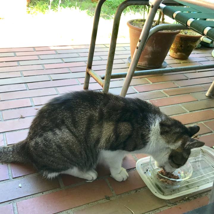 B9858f0a c2ba 438d a3bc 4dfbc6ba3eea 1534493812507