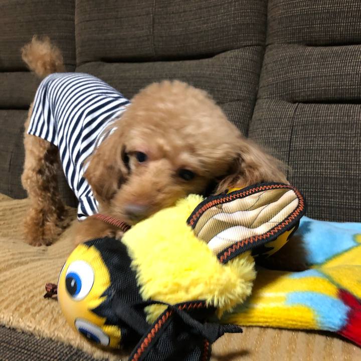 B9859779 80bc 4c29 a02f 322d28dbbce7 1616490288097