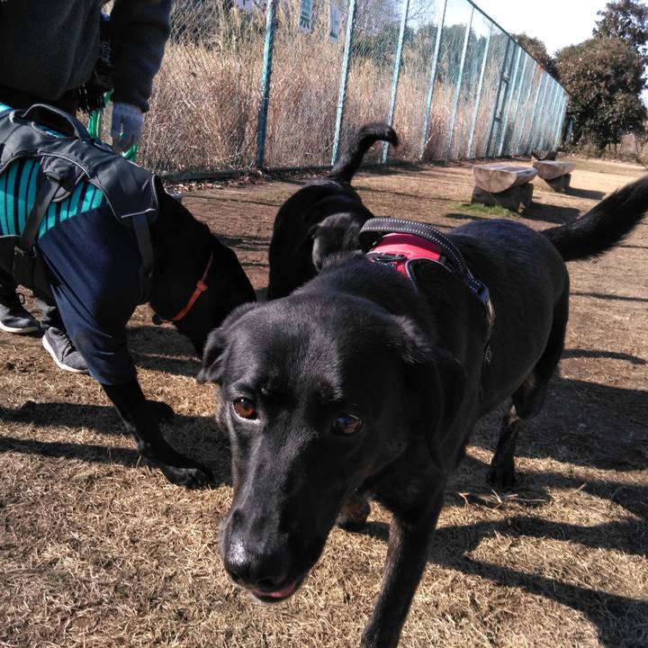 B985a265 d83e 4276 8883 1607f4f00c5c 1579408680461