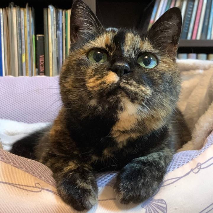 B985bee9 52d6 49a3 a432 6871762d53ff 1592009743063