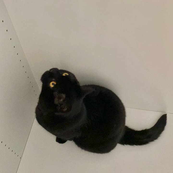 B985d0fe 10ac 4eec a95c de1c25317073 1748326675664