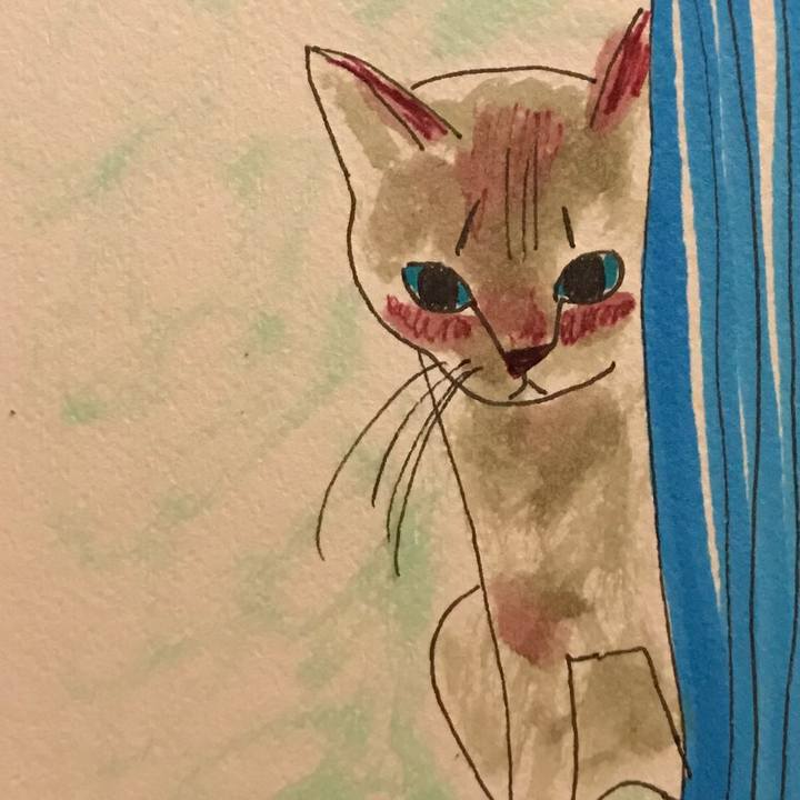 B985df18 71ee 4801 b141 8cd5d33ad983 1554355319918