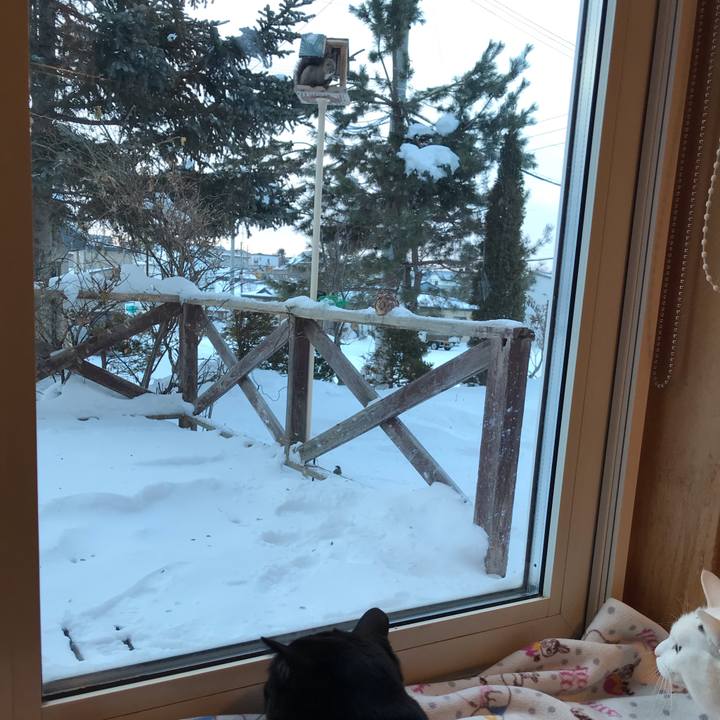 B9863c0c b2bb 402d 912b fc4a4cb960a8 1581284827113