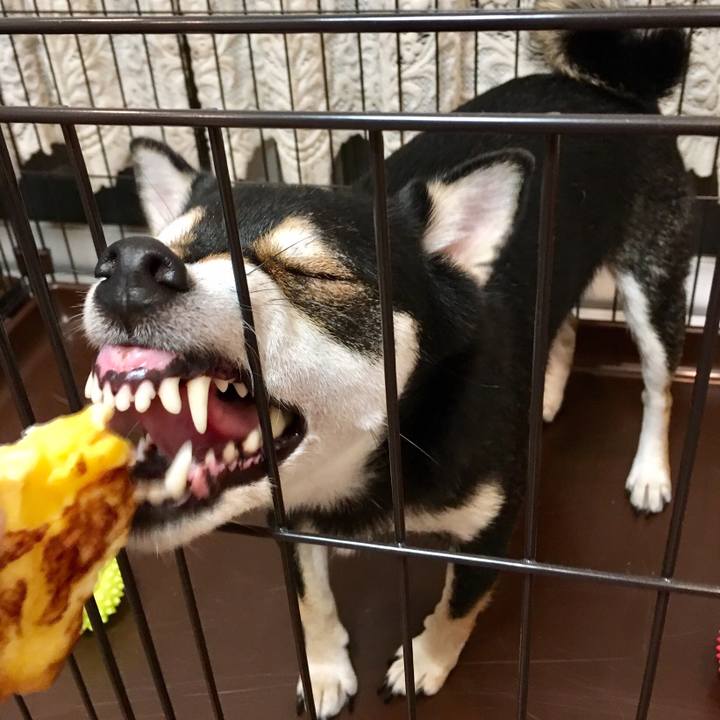 B98650b3 65a0 42c7 b210 00d7e9a435b1 1539058227367