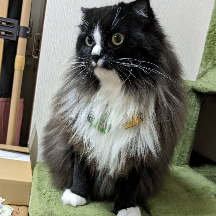 B9866dce 11d8 4d8b b29b 9c47b554cf70 1695342076341