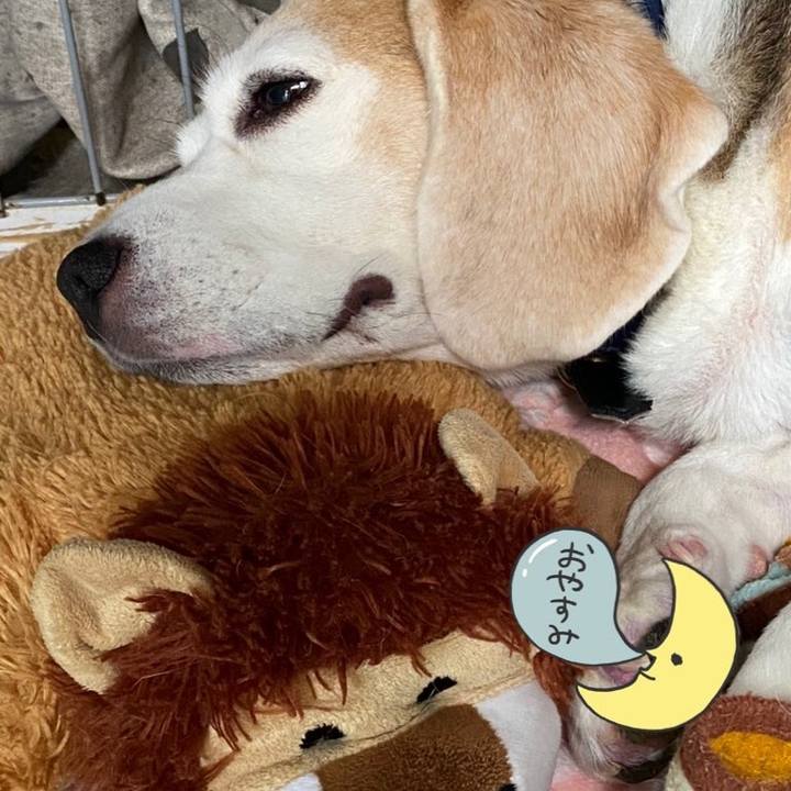 B9867be4 1c56 4301 9423 9e93c32ad230 1602043766814