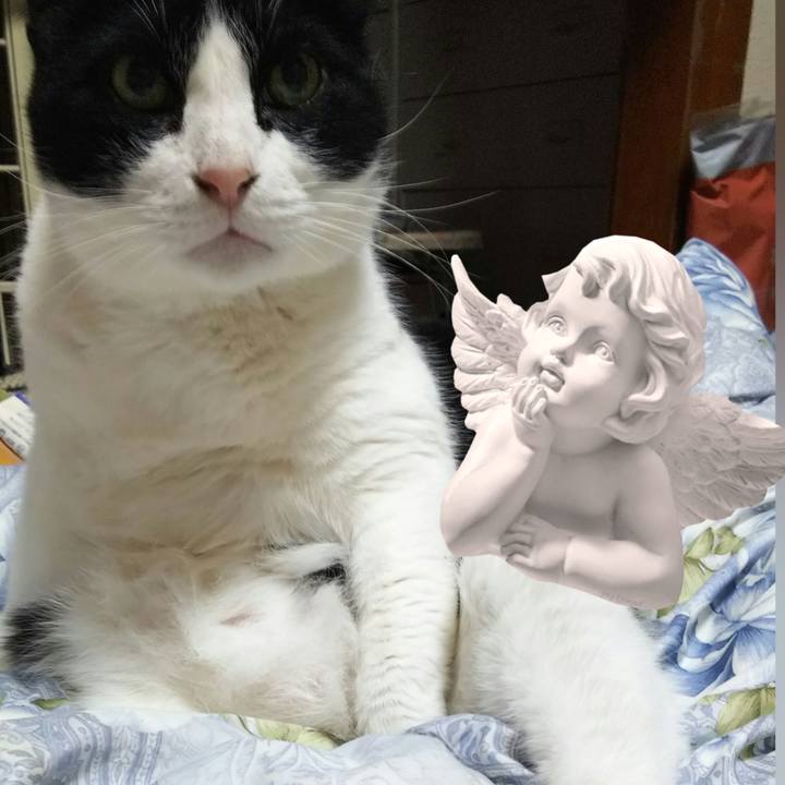 B9872a25 87b9 4eb5 bc3b c1c7fdbcb2de 1553073275992