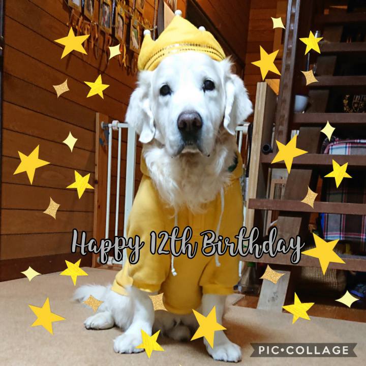 B9872bfb ba66 4e62 84da bdadd94154d6 1581967054550