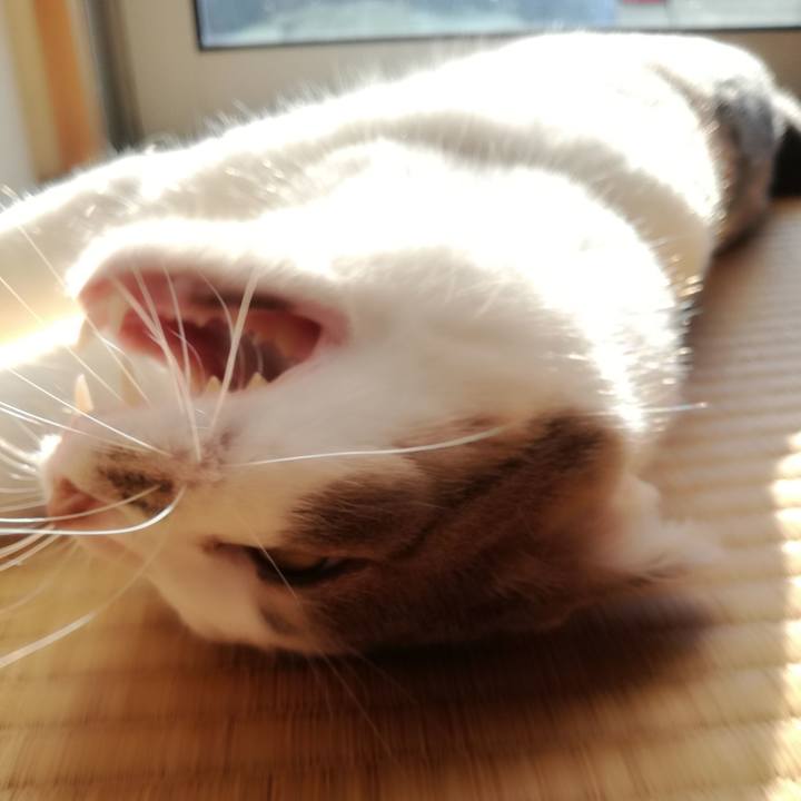 B987436f 915a 40b5 a4de 1f22555b44c5 1531643816162