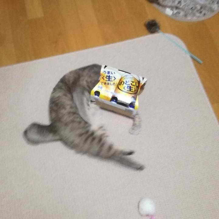 B9877b88 5ce7 4214 a054 08fd96926c43 1509368304126