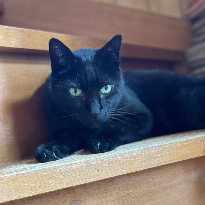 B9879c15 046d 4429 862e cd8c2a116998 1651110219650