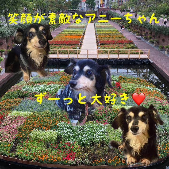 B987a979 f68a 473a bbf1 e5da2ec1eb7b 1545056007203